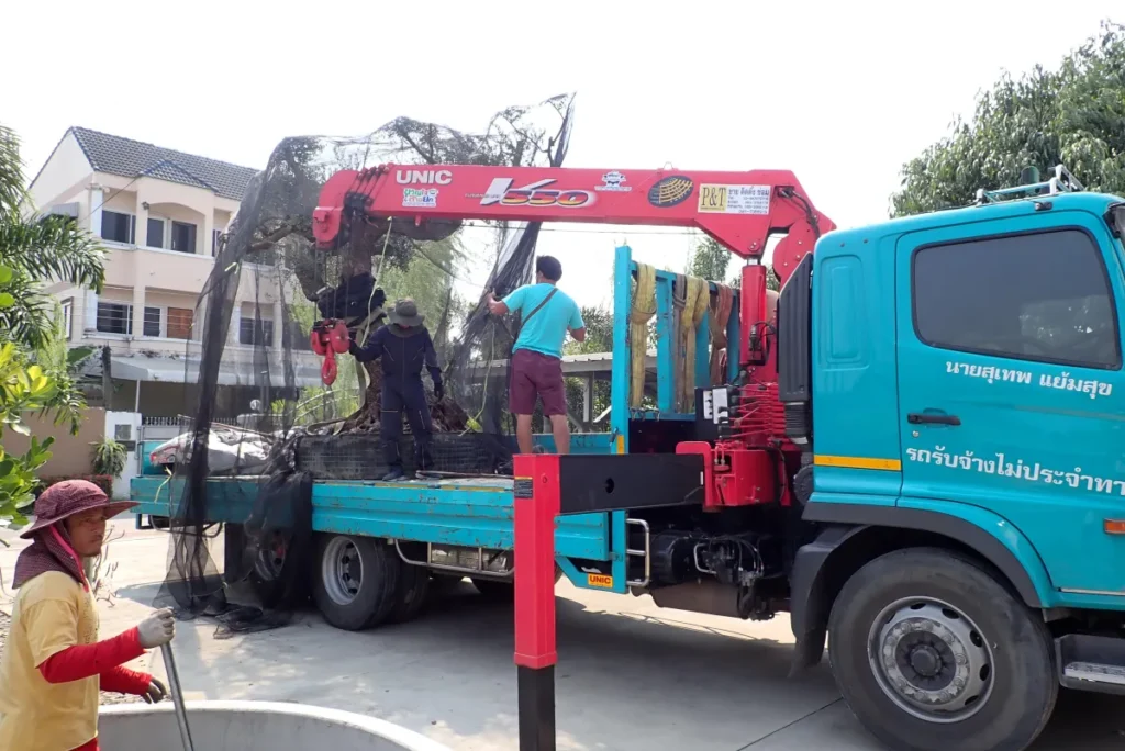 Transport & Heavy Lift